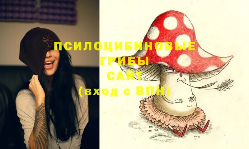 Псилоцибиновые грибы Psilocybe Бор